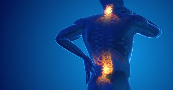 Back & Spine illustration