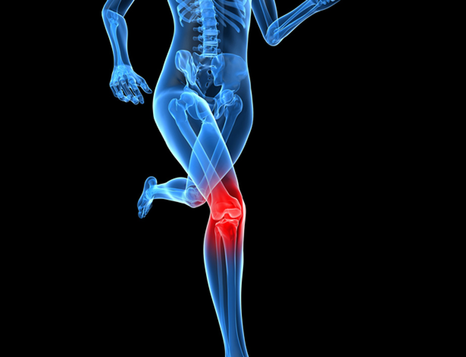 Knee illustration
