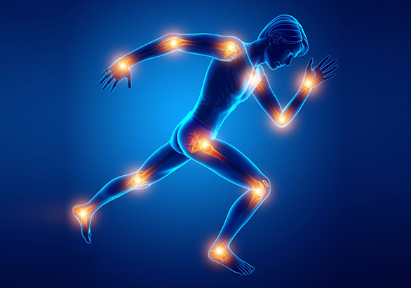 Sports Therapy illustration